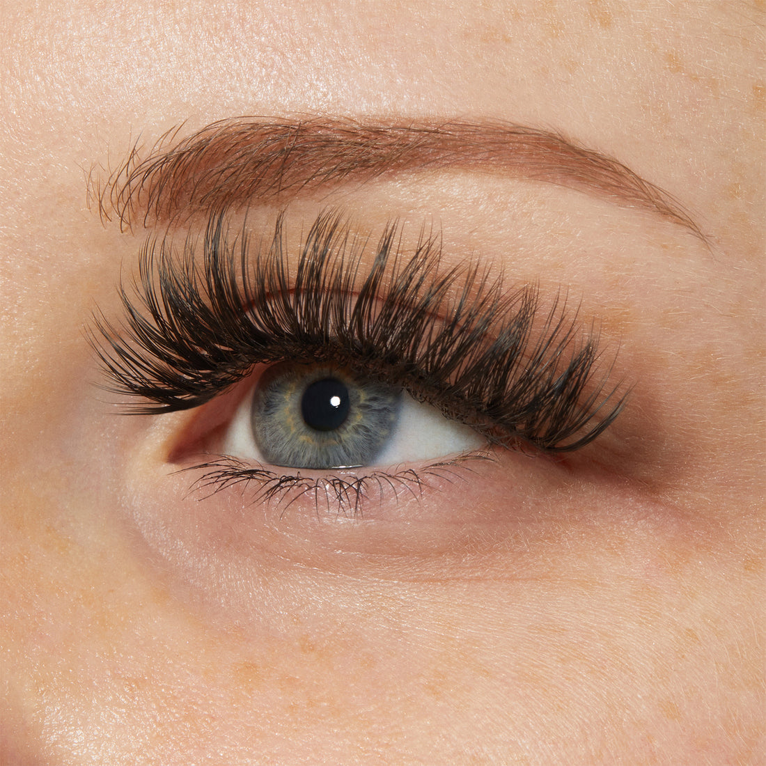 My Lash But Bolder 3D Volume Eyelashes - Big Personality