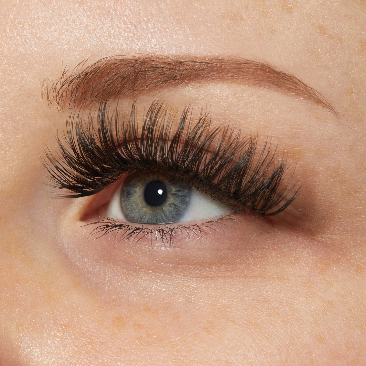KISS My Lash But Bolder 3D Volume False Eyelashes, Style &