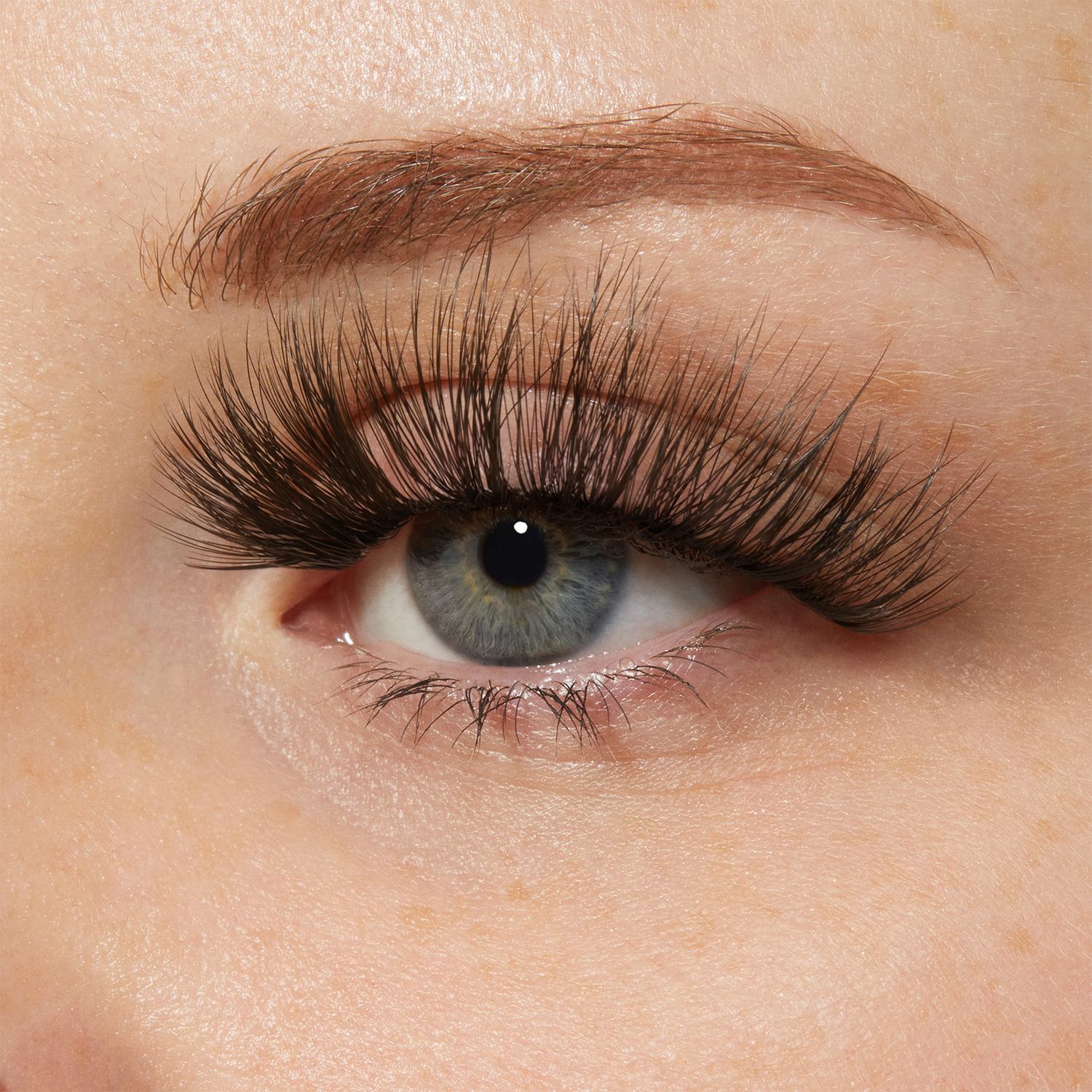 KISS My Lash But Bolder 3D Volume False Eyelashes, Style &