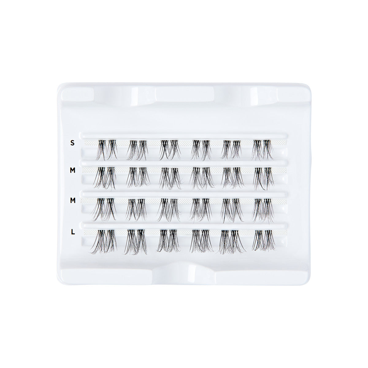 FALSCARA Clear Band Multipack – 24 Wisps